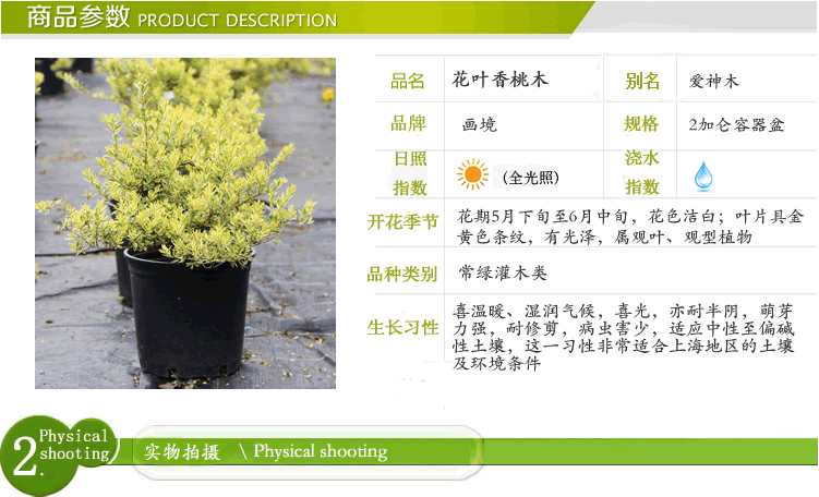 太阳GG·(中国区)官方网站