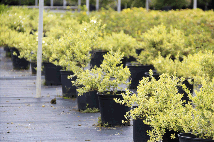 太阳GG·(中国区)官方网站