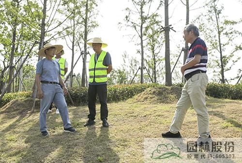 太阳GG·(中国区)官方网站