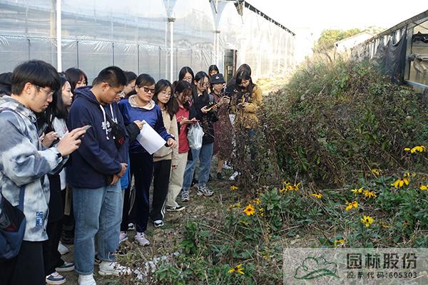 太阳GG·(中国区)官方网站