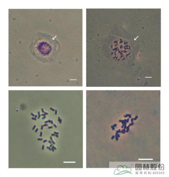 太阳GG·(中国区)官方网站