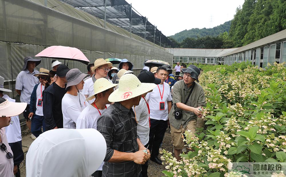 太阳GG·(中国区)官方网站