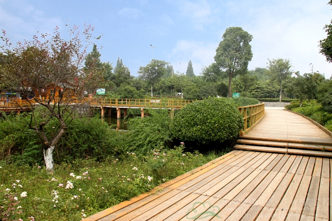 太阳GG·(中国区)官方网站