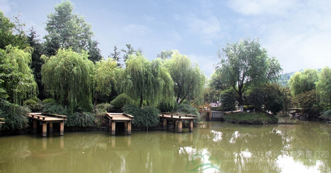 太阳GG·(中国区)官方网站