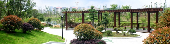 太阳GG·(中国区)官方网站