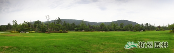 太阳GG·(中国区)官方网站