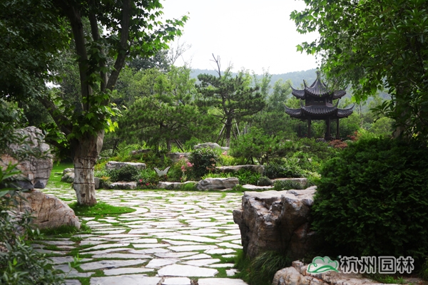 太阳GG·(中国区)官方网站