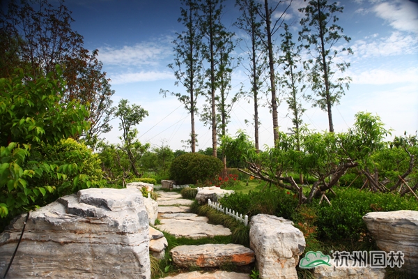 太阳GG·(中国区)官方网站