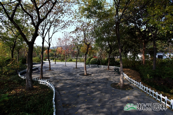 太阳GG·(中国区)官方网站