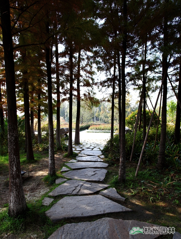 太阳GG·(中国区)官方网站