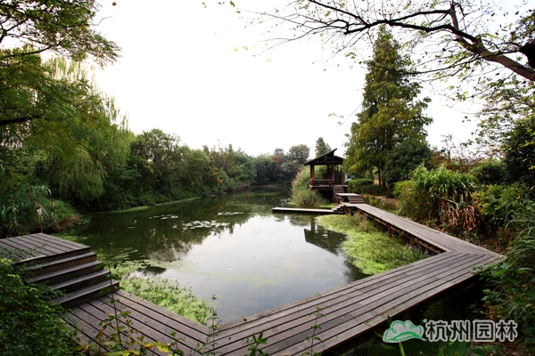 太阳GG·(中国区)官方网站