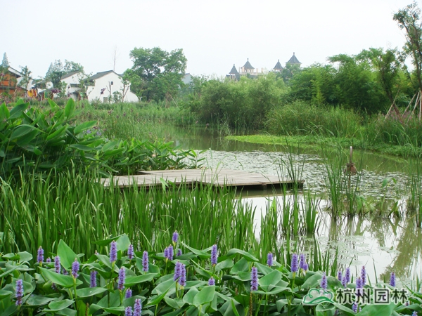 太阳GG·(中国区)官方网站