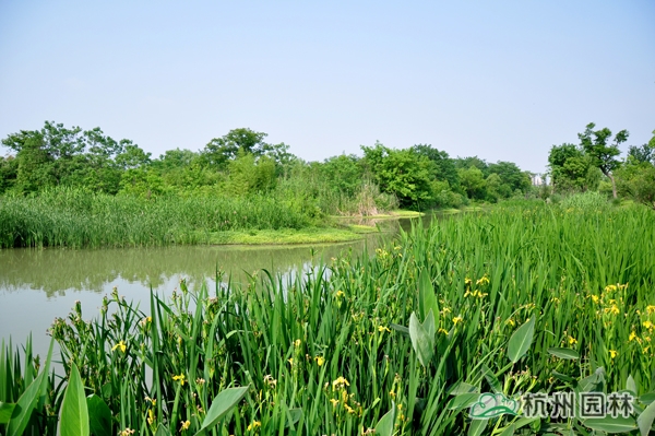 太阳GG·(中国区)官方网站