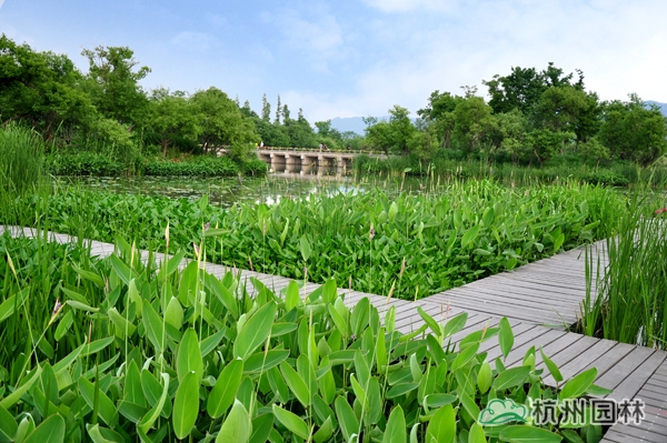 太阳GG·(中国区)官方网站