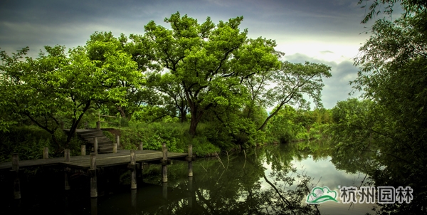 太阳GG·(中国区)官方网站