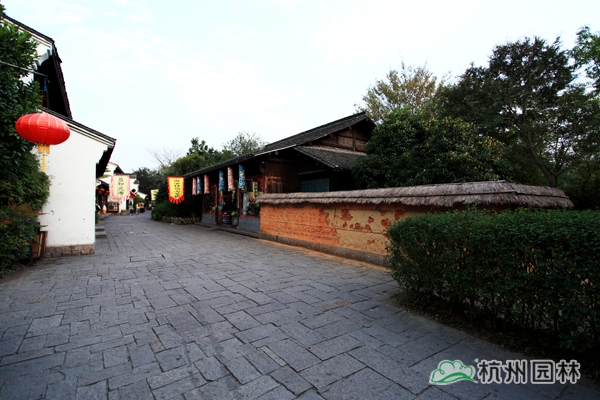 太阳GG·(中国区)官方网站