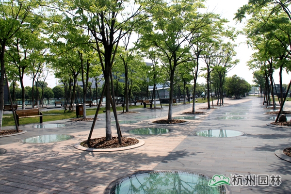 太阳GG·(中国区)官方网站