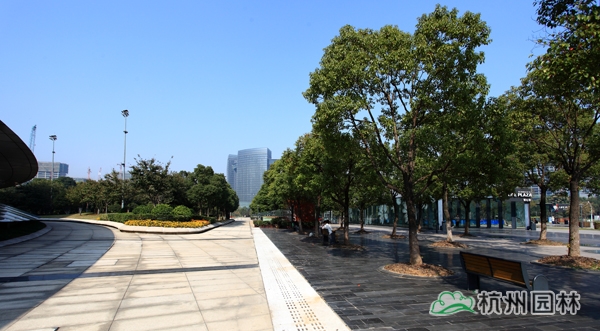 太阳GG·(中国区)官方网站