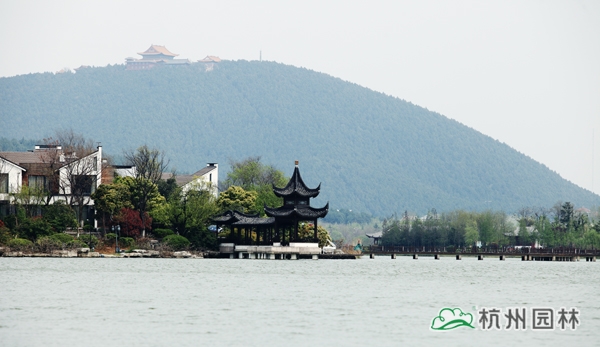 太阳GG·(中国区)官方网站