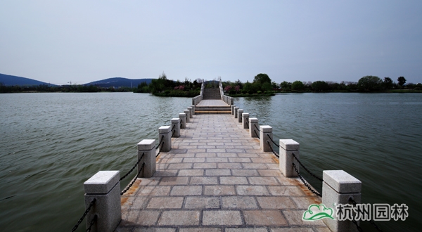 太阳GG·(中国区)官方网站