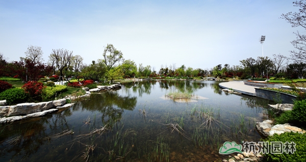 太阳GG·(中国区)官方网站